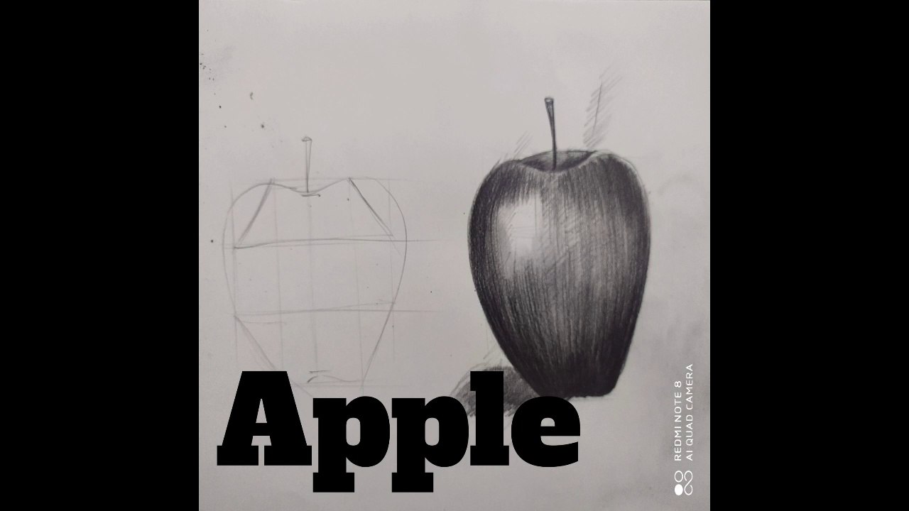 How  to draw a 3D apple sketch step by step.