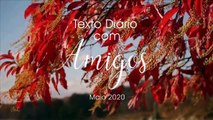 23.05.2020 Texto Diário (Amigos)