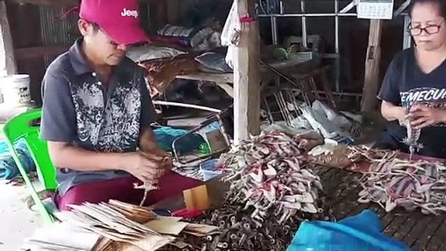 Inside remote village sending thousands of dried GECKOS to China for two decades