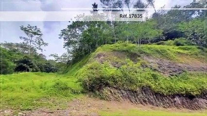 A VENDRE GRAND TERRAIN 9081 M2 (VUE MER) MOOREA