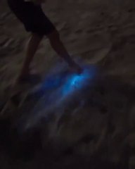 Electric Blue Waves on the Southern California Coast