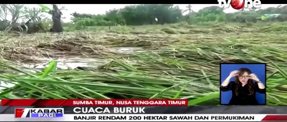 NTT, 200 Hektar Sawah dan pemukiman Terendam Banjir