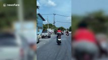 Motorcycle rider stuns passing drivers with bizarre stunts