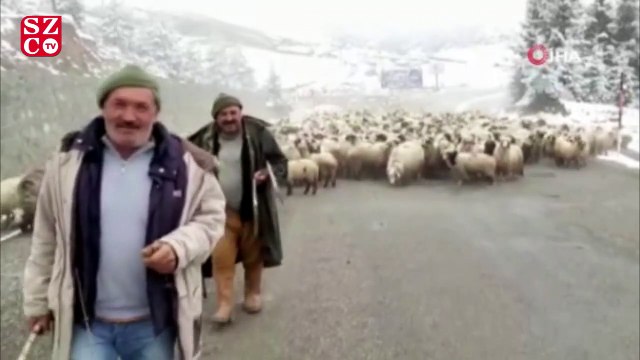 23 Mayıs’ta yağan kar şaşırttı: Ordu'dan kar manzaraları