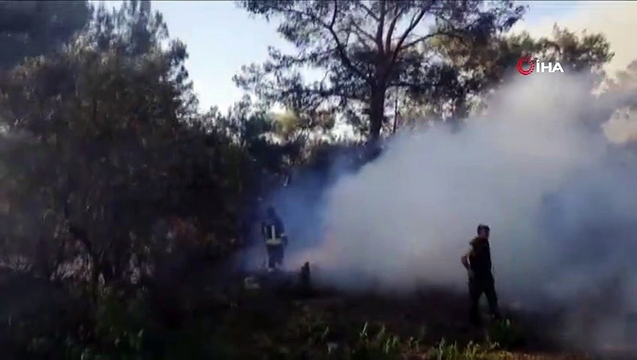 Ortaca’da orman yangını