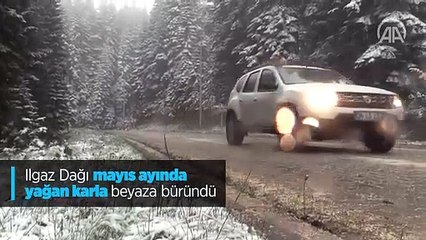 Hafter milisleri, başkentin güneyinden çekilirken DEAŞ'ın mayın tuzaklama taktiğine başvurdu