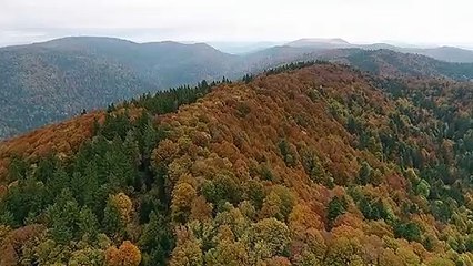 Nature beauty. Beautiful nature video with music.