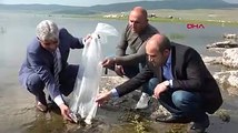 Bitlis'te 2 ayrı göle 70 bin yavru balık bırakıldı
