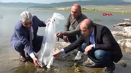 Bitlis'te 2 ayrı göle 70 bin yavru balık bırakıldı