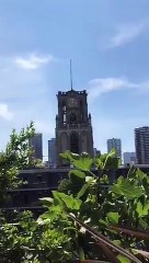 Kilise çanları ile “Uzun İnce Bir Yoldayım”