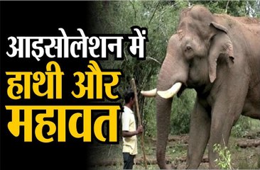 अब रिजर्व में ही रहेंगे महावत