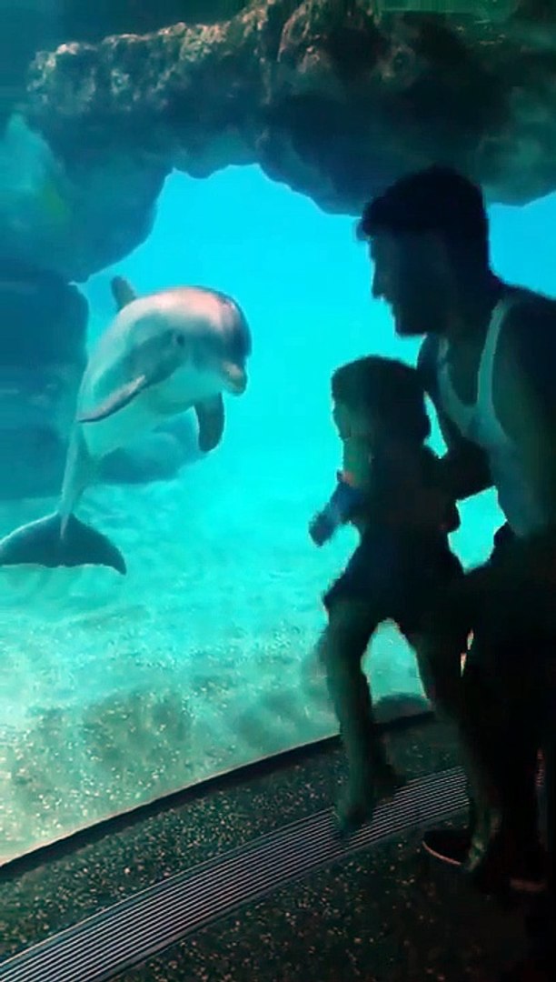 Une Fillette Fait Rire Un Dauphin Video Dailymotion