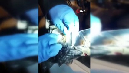 Aracın motoruna uyuşturucu saklayan şahıslar adliyede