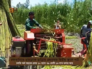 রফতানিতে চামড়াকে ছাড়িয়ে প্রথমবারের মতো দ্বিতীয় স্থানে পাট । Jute is in the second place for the first time after leather