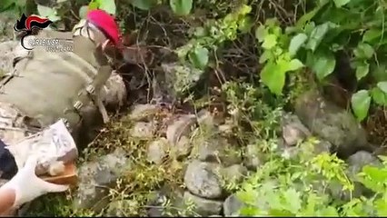 Operazione dei Carabinieri di Locri e Cacciatori Calabria (23.05.20)