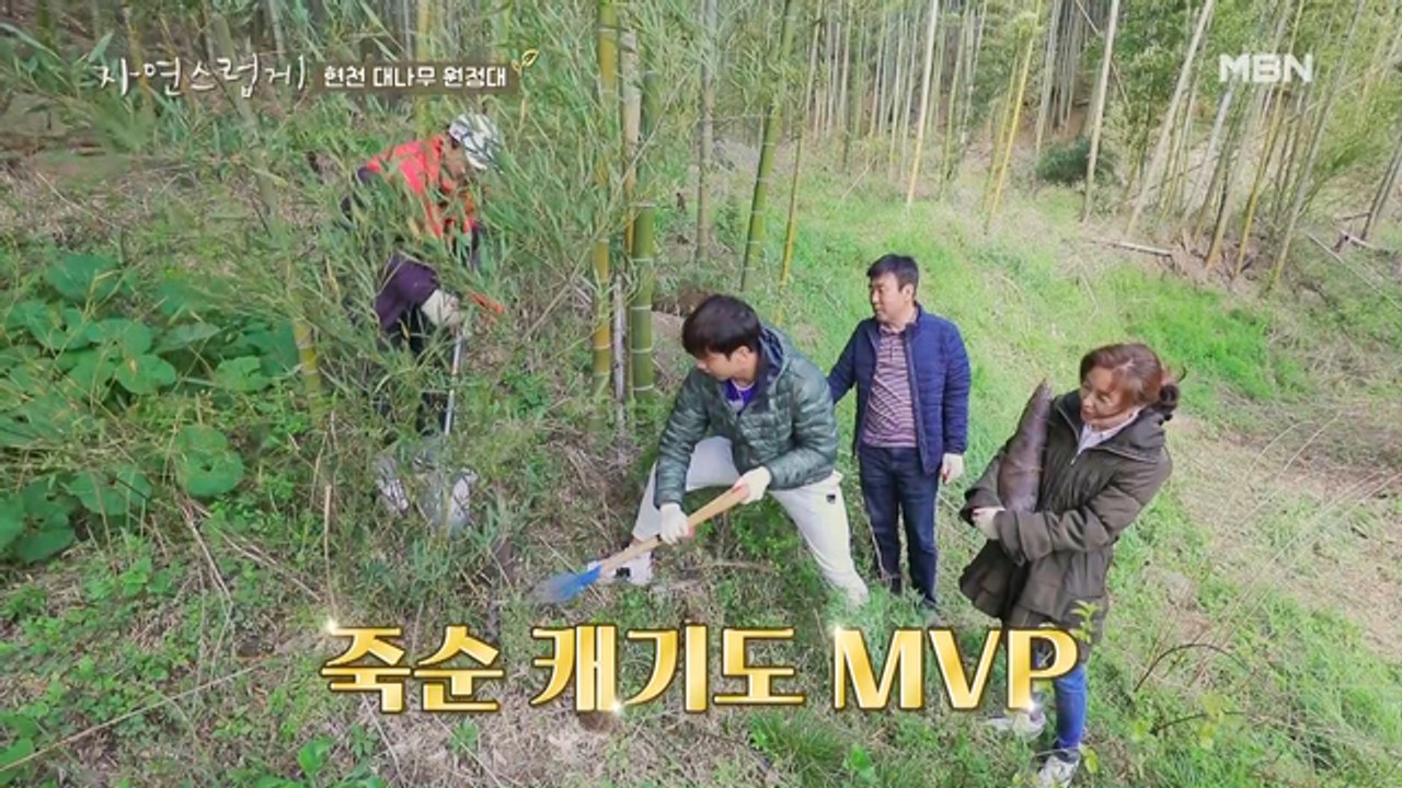 ☆숨길 수 없는 MVP 본능☆ 죽순 캐기 MVP 허훈!