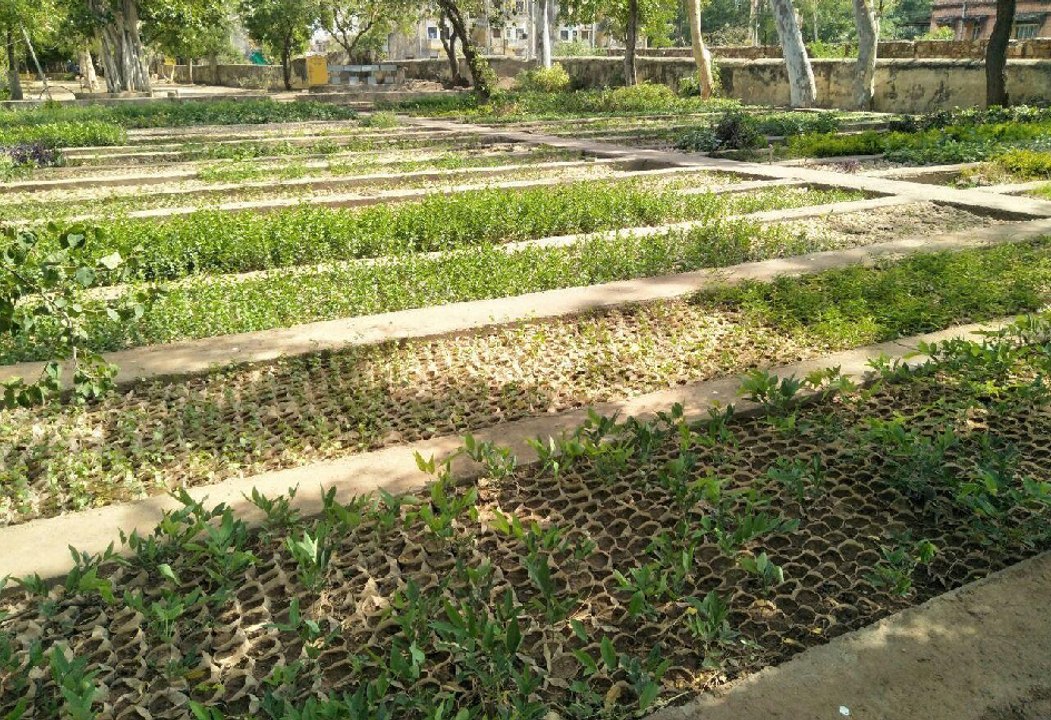 Bundi Forest department