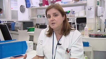 Investigadores de todo el mundo implicados en la búsqueda de tratamientos contra el Covid-19