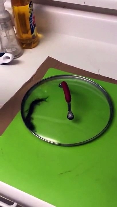 Qu'est ce que c'est que ça ???