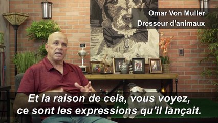 Et le meilleur interprète canin est... Uggie de "The Artist"