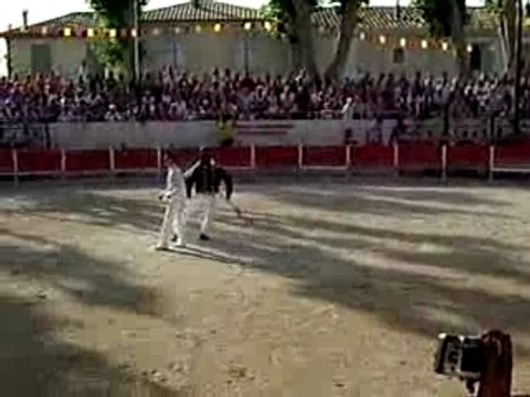 Course landaise 27aout 07 5 mm de jeux avec une vache libre