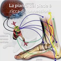Equilibrio-e-Bilanciamento