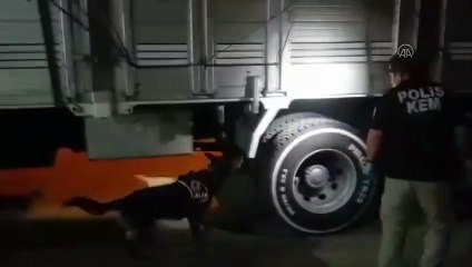 Uyuşturucu operasyonunda 2 şüpheli yakalandı - KOCAELİ