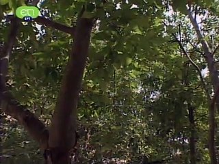 Ιερά Μονὴ ἉγίαςΤριάδος Βυθού Βοΐου