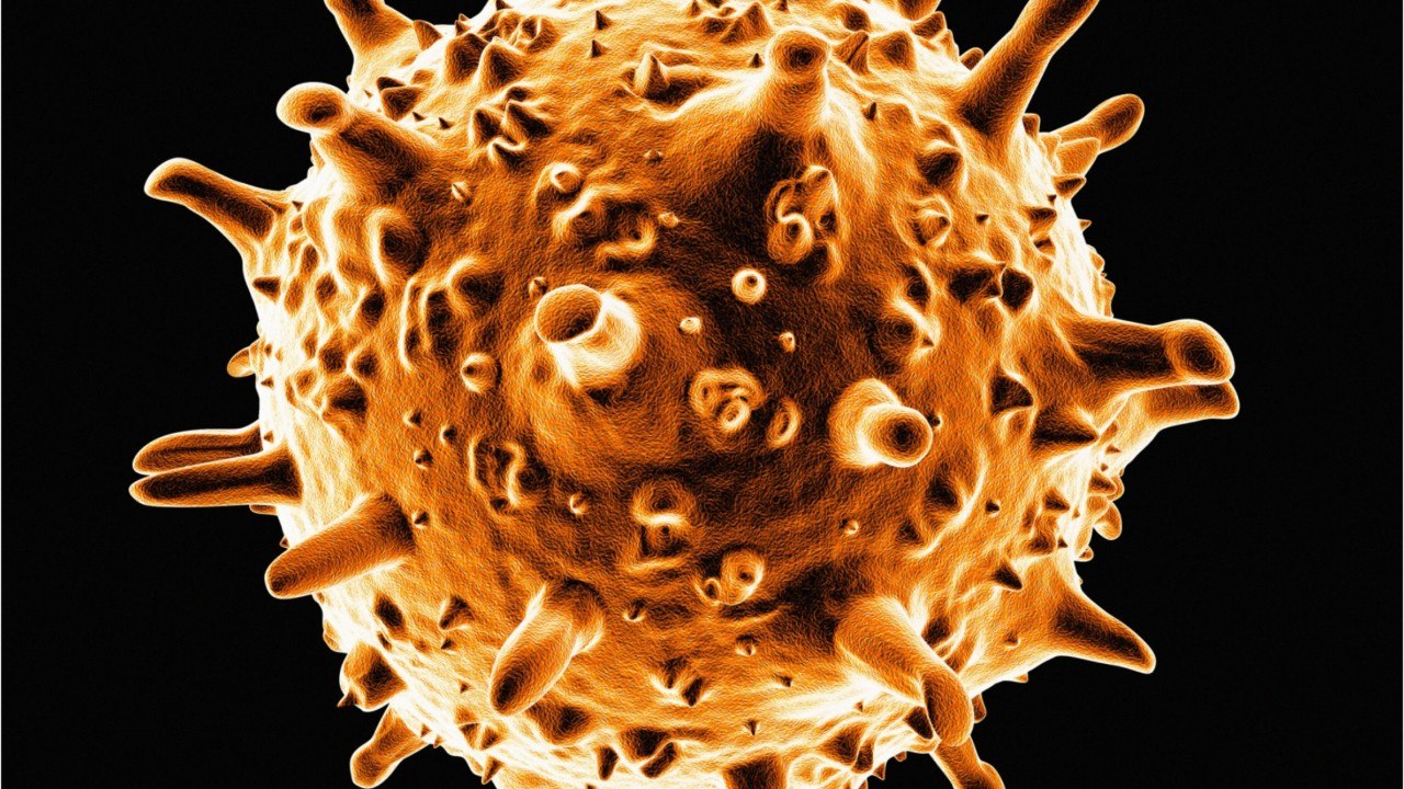 Large Scale UK Study Highlights Major Risk Factors In Dying From COVID-19