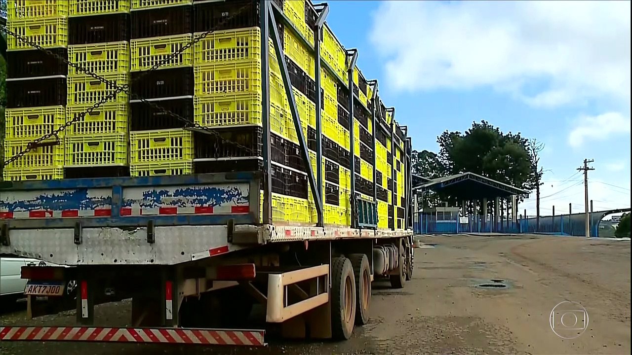 Frigorificos temen un aumento en los casos de Covid-19 en Río Grande do Sul