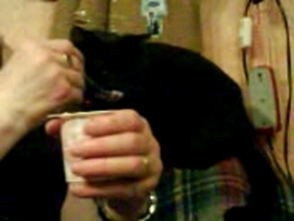 Belle et NALA mange du yaourt