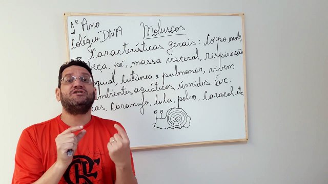 Caracteristicas gerais dos Moluscos