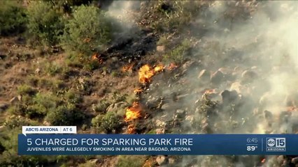 Five charged for sparking 'Park Fire'