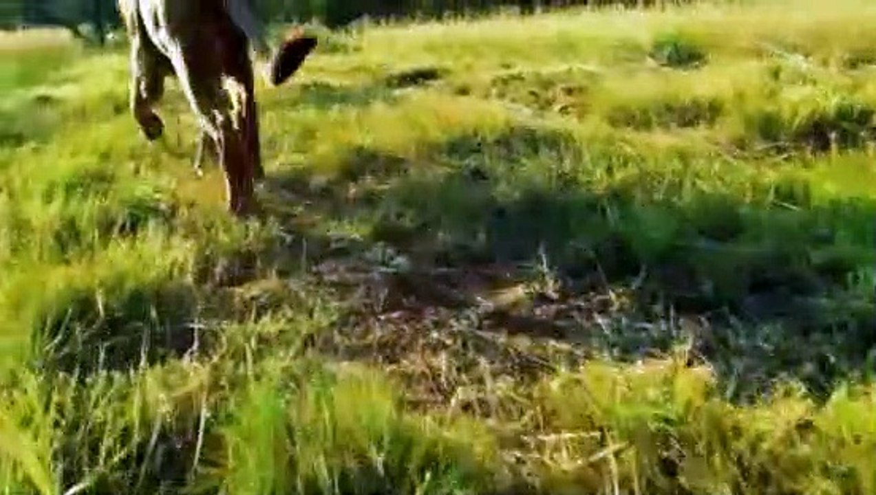 Work on the Wild Side - S01E05