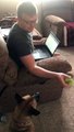 Man Sitting on Couch Plays Fetch With Dog by Throwing Ball Outside Basement Window