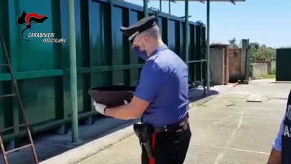 Sant’Ilario dello Jonio i Carabinieri sequestrano un canile irregolare