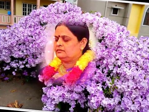 Sri Amma Bhagavan sharanam - Amma