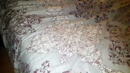 Sleepy Bruno the pitbull all comfy...bedroom