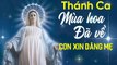 THÁNH CA DÂNG MẸ - Thánh Ca Dâng Hoa Kính Đức Mẹ Maria Hay Nhất Mọi Thời Đại Không Nghe Chỉ Có Tiếc