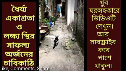 Be  Passion and focus Target get win