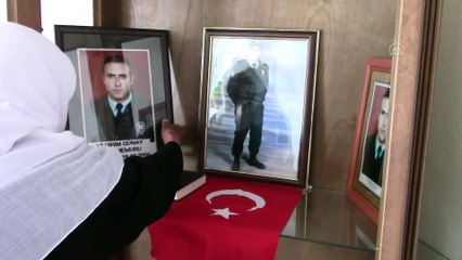Ağrı'da şehit annesi, evladının kabrini ziyaret etti