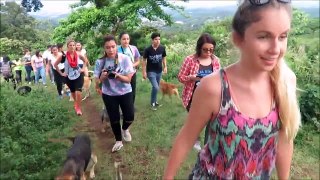 Territorio de Zaguates Land of The Strays Dog Rescue Ranch Sanctuary in Costa Rica