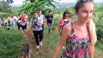 Territorio de Zaguates Land of The Strays Dog Rescue Ranch Sanctuary in Costa Rica