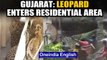 Leopard enters residential area in Gujarat's Dahod, creates panic: watch | Oneindia News