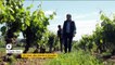 Confinement : les vignerons du Var cherche à écouler les stocks de vin rosé