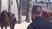 Police horse gives LAPD officers the slip on Venice Beach