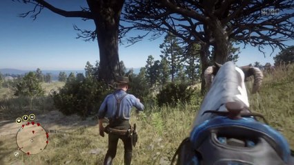 Red Dead Redemption 2 Online Localización de Objetos Colección de Veteranos