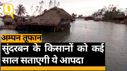 Amphan Cyclone का सुंदरबन के किसानों पर ऐसा कहर जो वो कभी न भूल सकेंगे, जानिए आपबीती