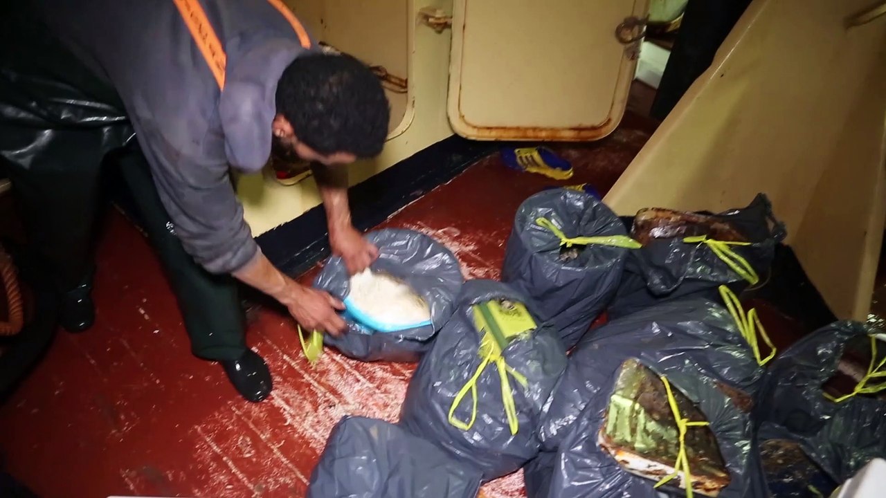 ΕΝΑΛΕΙΑ:Μια παρέα νέων με την βοήθεια των ψαράδων καθαρίζει τις θάλασσες από τα πλαστικά