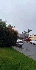 Lightning Sets Palm Tree on Fire